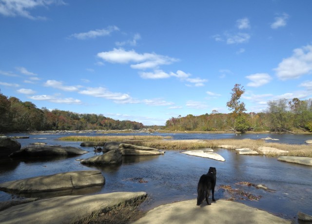 Mackey gazing up at a cold, windy river