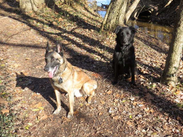 Turner (left) and Mackey (right) - regular blog contributors