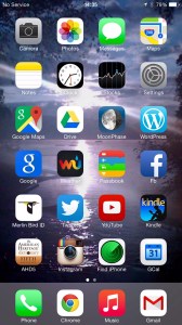 "No Service" - music to my ears, in a manner of speaking. 