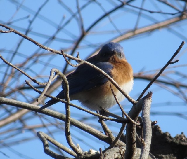 Checking me out from a safer vantage point