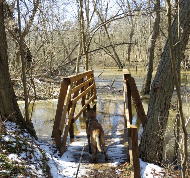 Mackey is on the other side, and Turner wishes he was too. 