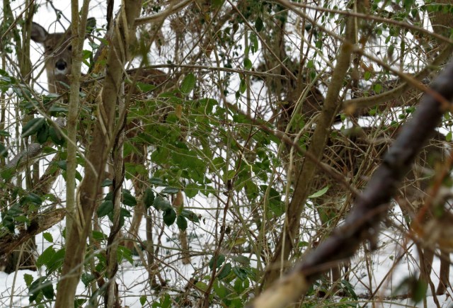 Much less obvious when you back away a bit! 