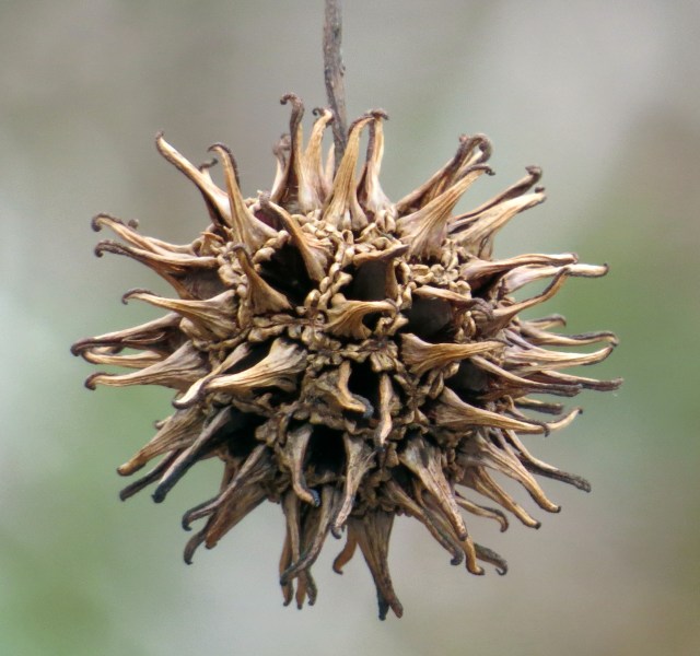 Perfect? Possibly. But you may prefer it in green. Or against a blue sky. The choices are infinite.