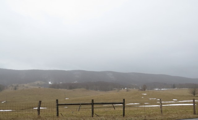 I love the maple syrup. But this is what I long to see: 