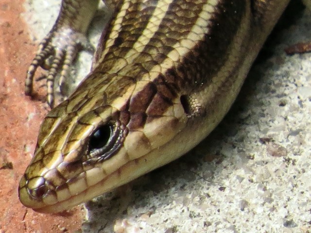 Is it just me? Does he have an expression on his face? 