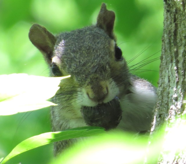 Checking out Turner for a while - the nut can wait. 