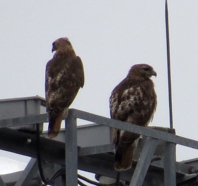 I'll never get tired of seeing these two. 