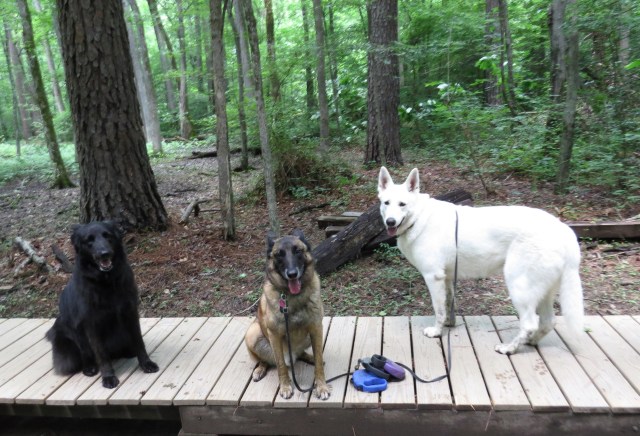 That is three fine looking boys right there- Mackey on the left, then Turner, then Yuki 
