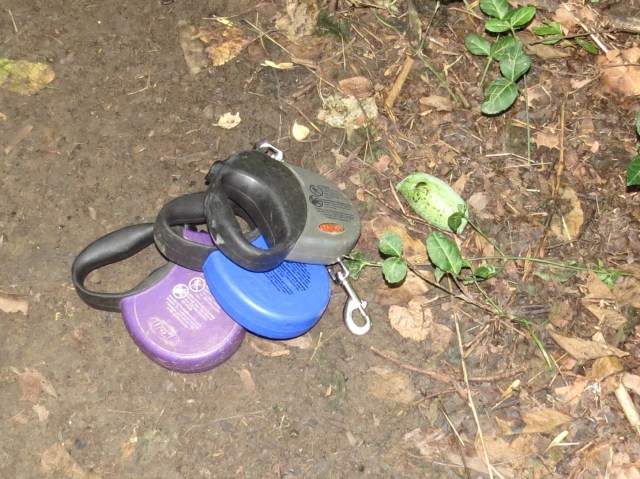 Paw paw with leashes (for scale) (what can I say) 