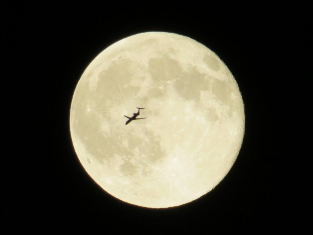 100% accidental picture of a plane flying in front of July's "blue" moon