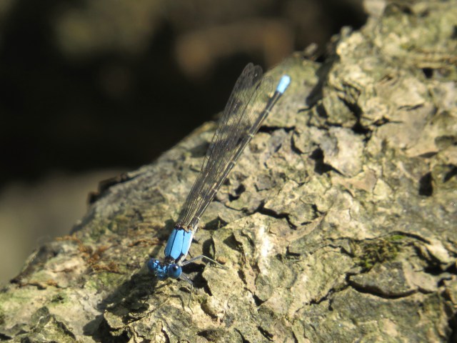 They're such great subjects for photography 