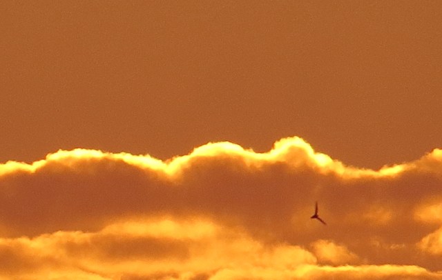 I've never thought of August as a month for natural beauty. But this is hard to beat: 