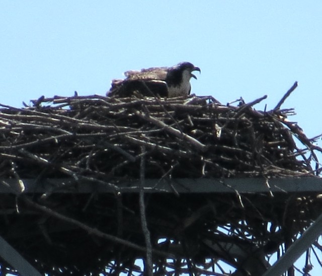 Lot of talking going on