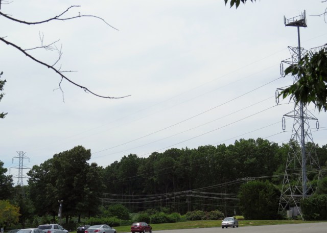 Tower with nest on right, tower above lake way down on lower left. Both have ospreys. 