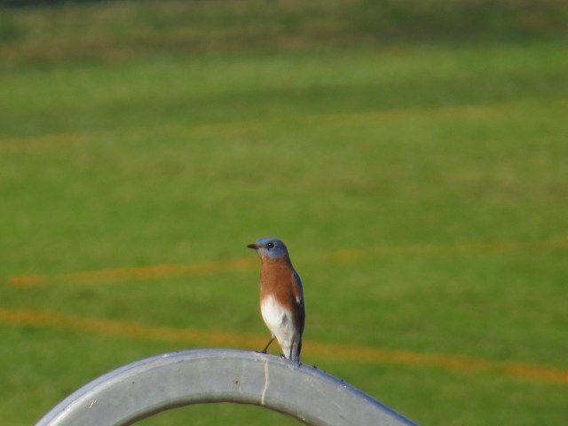 He's a handsome guy, isn't he? 