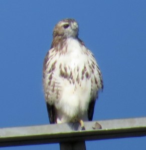 Slightly more businesslike and/or threatening, in my view. 