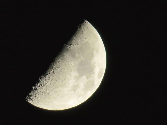 First quarter moon: 