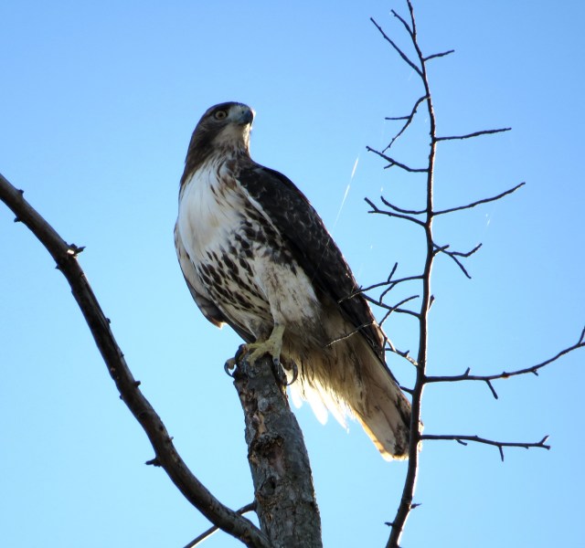 That's a spiderweb behind her! This stuff never ceases to delight and amaze me 