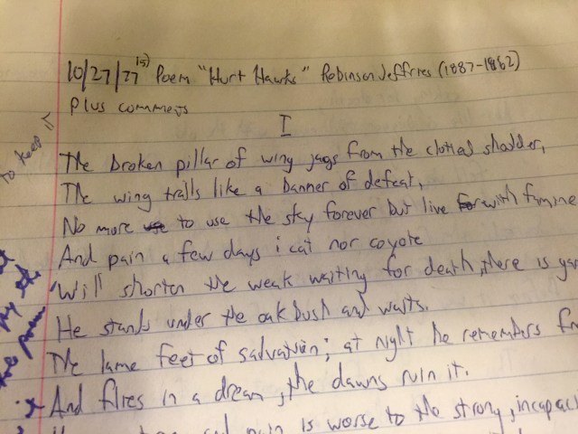 Red-tail hawk poem excerpt from a journal I kept 38 years ago (!) 