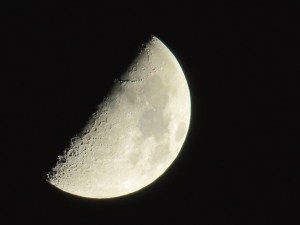 First quarter moon