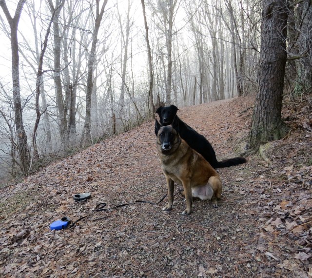 Mackey and Turner enjoying Sunday morning in the woods