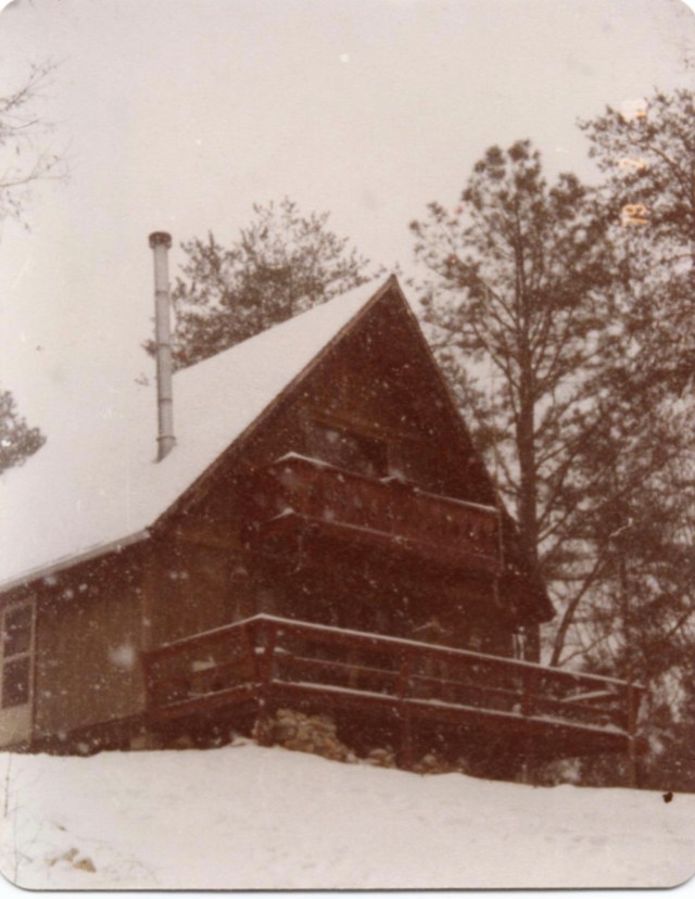 The cabin in a light snow. See the chimney for the stove? And the front deck? 