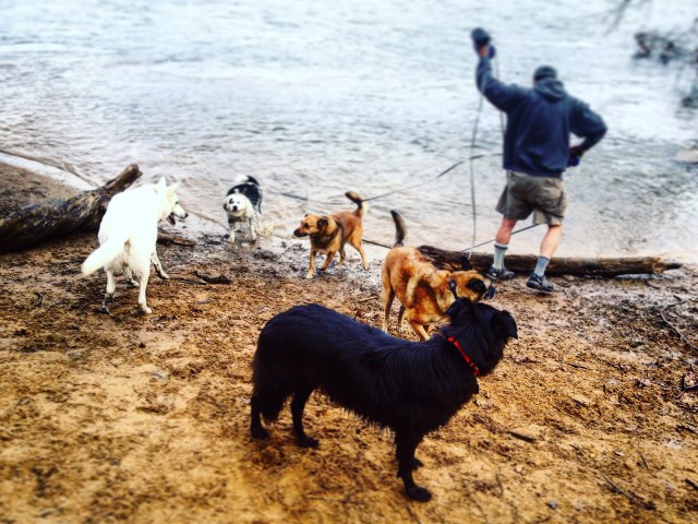 A combination of Mikhail Baryshnikov and an enlightened Zen master
