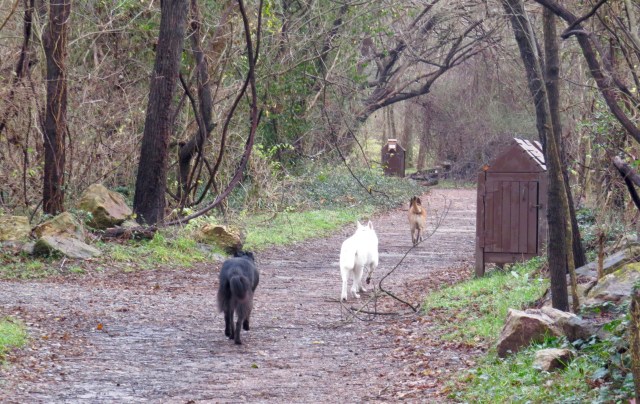 The hike begins on a dreary Christmas morning