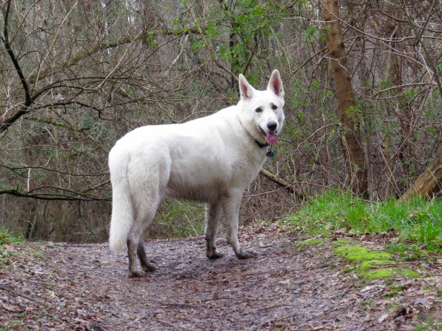 Always makes sure I'm keeping up