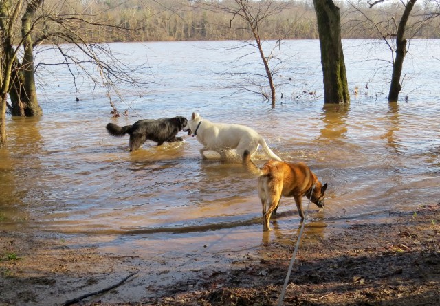 It was so nice to see the sun again