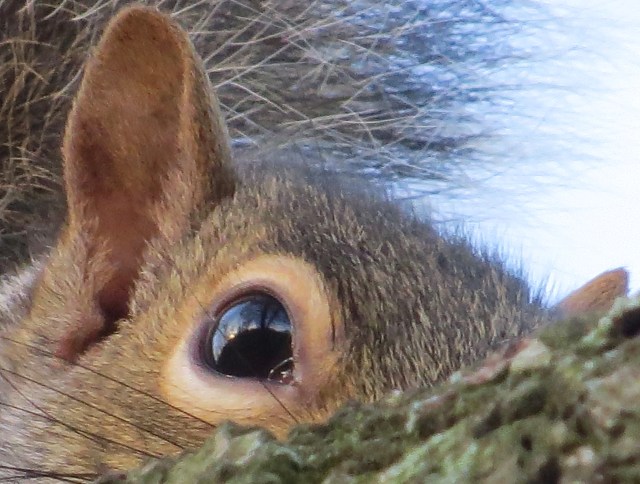 I'm gonna' keep my eye on you... 