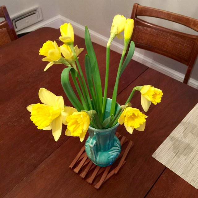 Brightest thing I've seen today. Beautiful! 