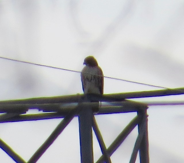 The view (at 200x zoom) from my driveway. 