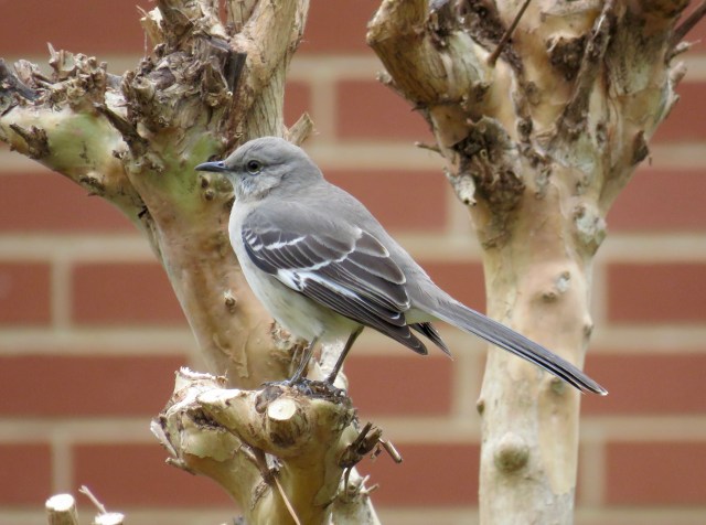 Sometimes I think they post on purpose. 