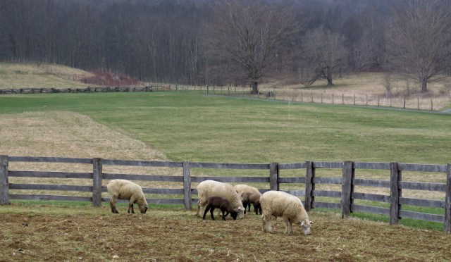 That's what's meant by "pastoral." 