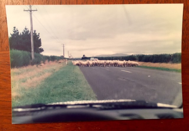 Early in the "Farm to table" process