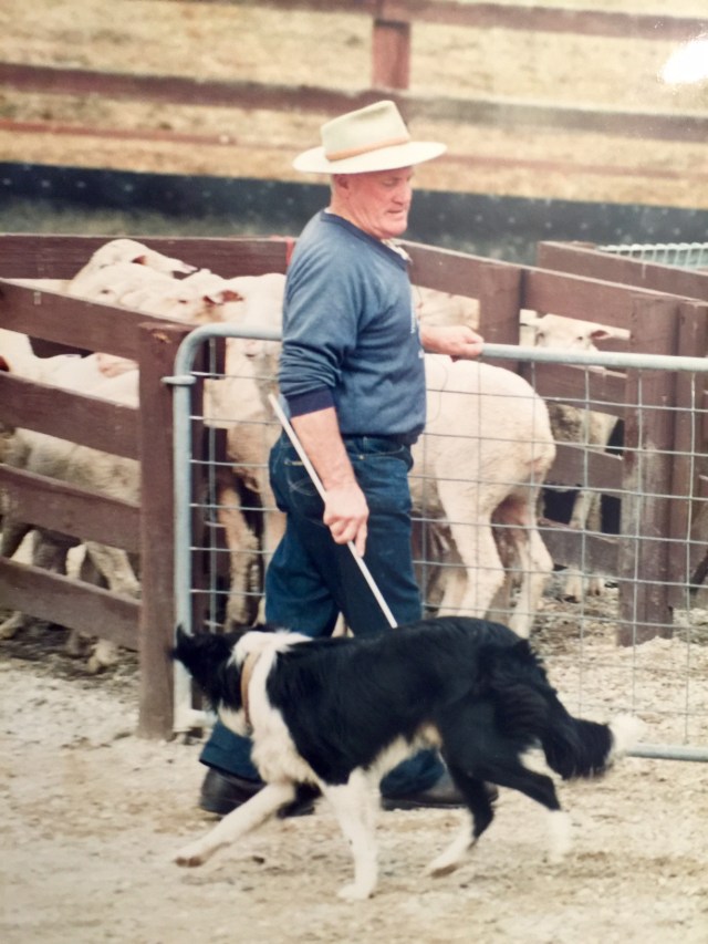 A boy and his dog, Australia-style: