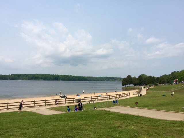 Beach at Lake Anna State Park. Fantastic swimming.