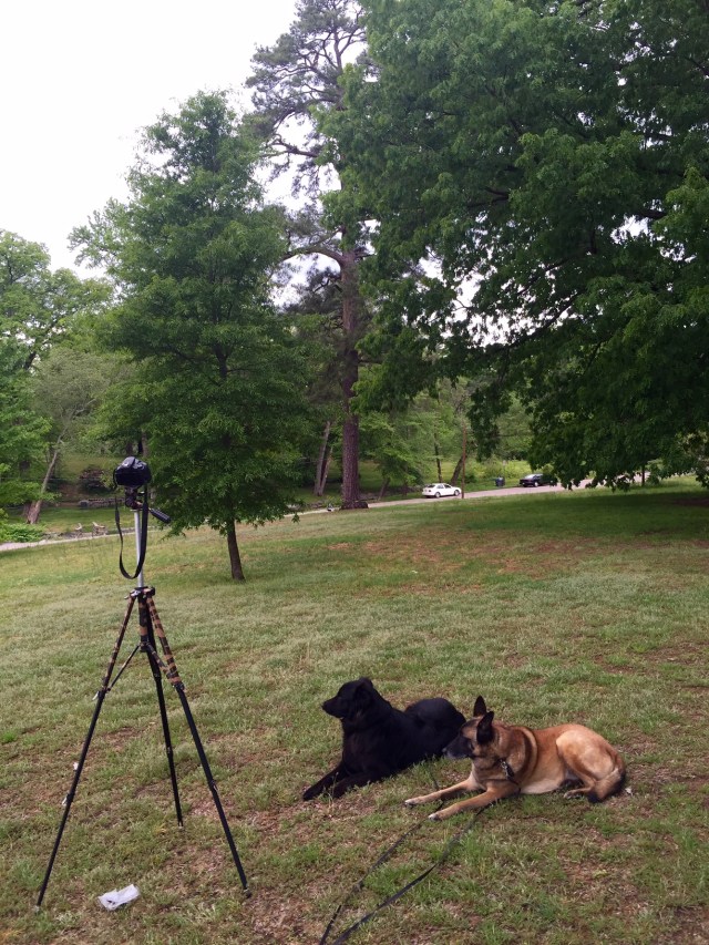 Mackey and Turner supervising.