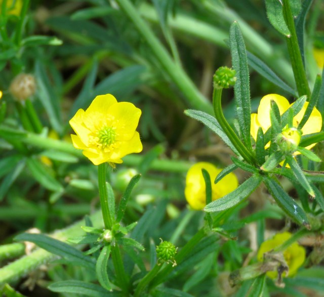 See the caption on the last picture? Ditto for this one. 