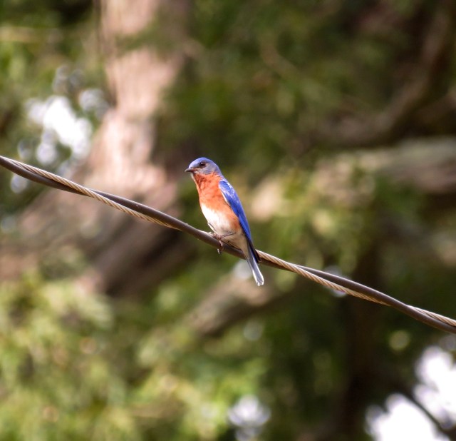 I'm always happy evolution selected for this particular combination. 