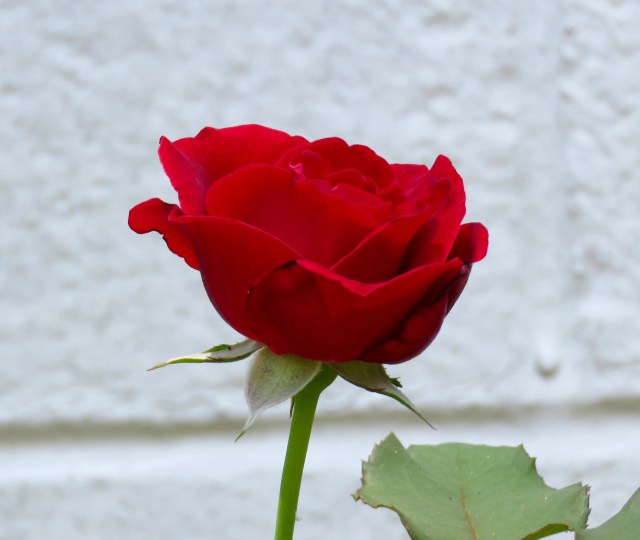 We're reaping the benefits of May's record-setting rain