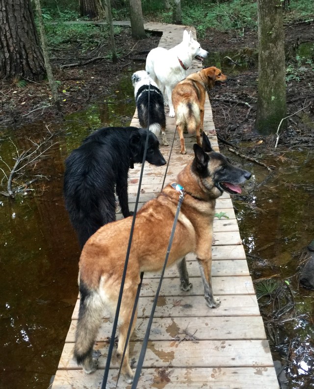 Don't they look well-organized? Fat chance. Never trust a photograph. 