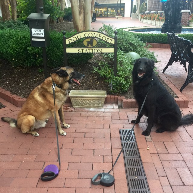 Turner (brown) & Mackey (not brown) being sweet at Stony Point mall. 