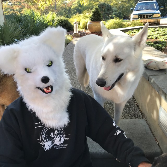 Found my doppelganger