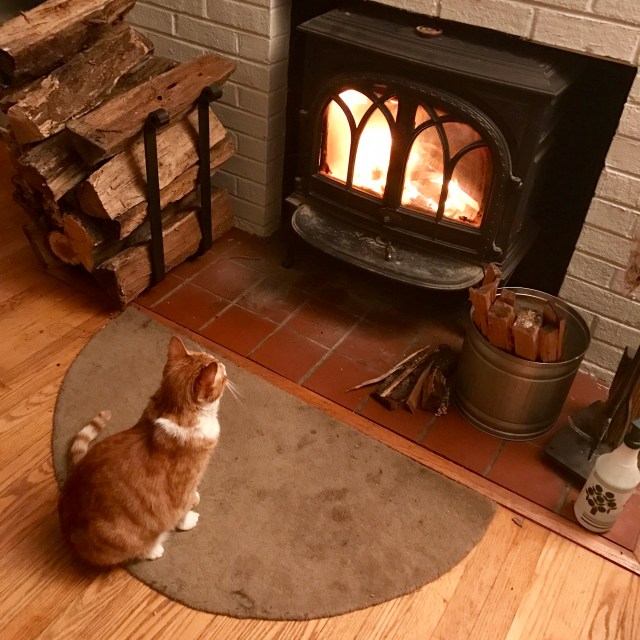 Early humans worshipped the sun. Present-day cats worship fire. 