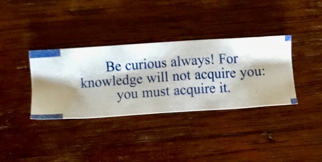 Be curious always! For knowledge will not acquire you: you must acquire it. 