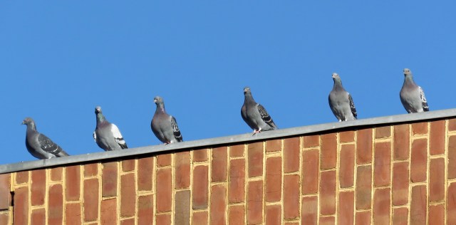 Pleasing to the eye: 