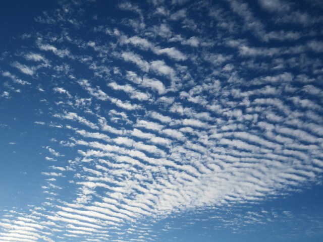 For some skies you should pull over and stop. 