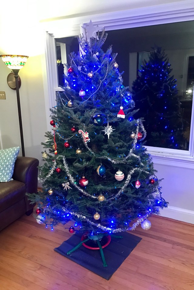 Our Christmas tree. We put candy canes on after I took this picture. 
